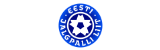 Eesti Jalgpalli Liit